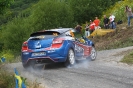 Deutschland Rallye 2012_12