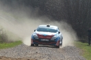 Wikinger Rallye 2012_8