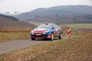 Pfalz-Westrich-Rallye 2013_14