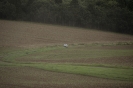 Rallye Niedersachsen 2017_42