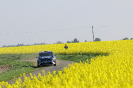 Rallye Sulingen 2025_20